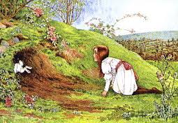 down the rabbit hole
