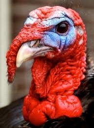 99E37053-7024-4B8B-B209-56FFBFA866A9_4_5005_c